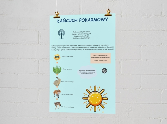 Kolorowe plakaty. Zasady segregacji śmieci, łańcuch pokarmowy, cykl obiegu wody w przyrodzie.