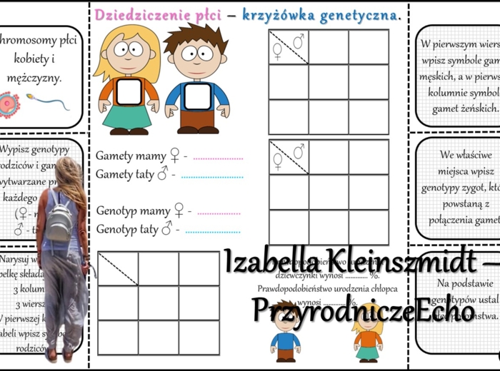 Notatka okienkowa/stacja zadaniowe/notatka/notatka graficzna/karta pracy/sketchnotka „Dziedziczenie płci u człowieka”, „Daltonizm - krzyżówki genetyczne”, „Hemofilia - krzyżówki genetyczne” , „Jak zapisać krzyżówkę genetyczną?” w pdf. Biologia 8 dział „G