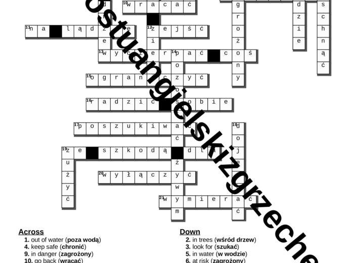 Teen Explorer 8 – Unit 4 – krzyżówki