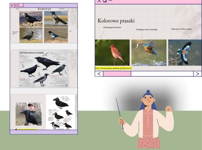 Przegląd PTAKÓW Polski