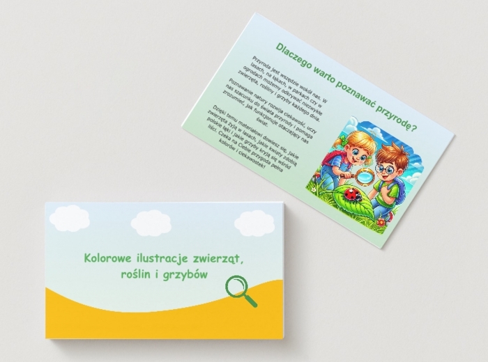 Kolorowe ilustracje zwierząt, roślin i grzybów