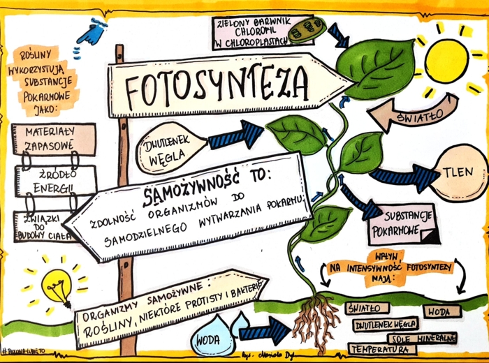 Klasa 5. Biologia. Karta pracy. Fotosynteza (dwie karty pracy)