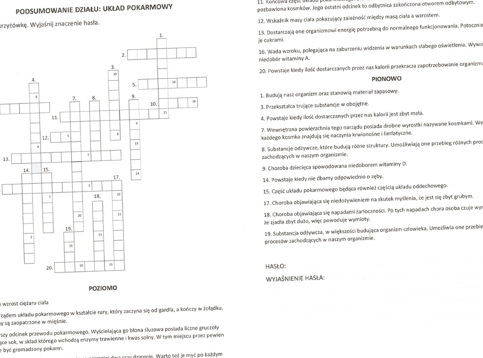 Układ pokarmowy (krzyżówka podsumowanie)