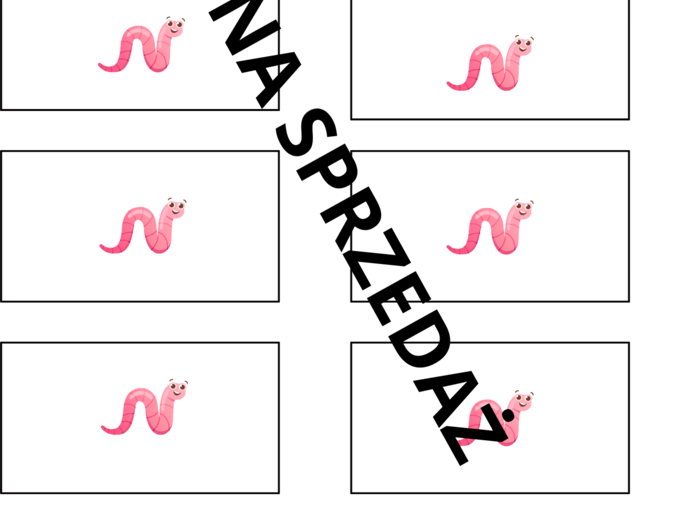 Gra planszowa Pierścienice, płazińce, nicienie