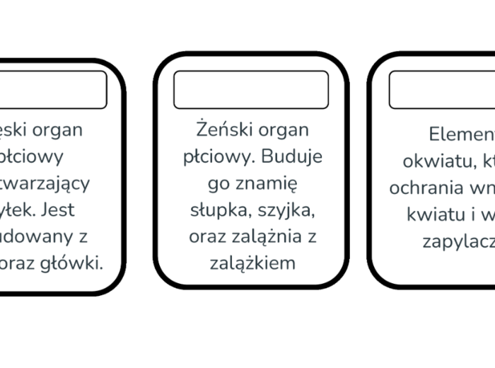 Budowa kwiatu - karty do nauki trójstopniowej