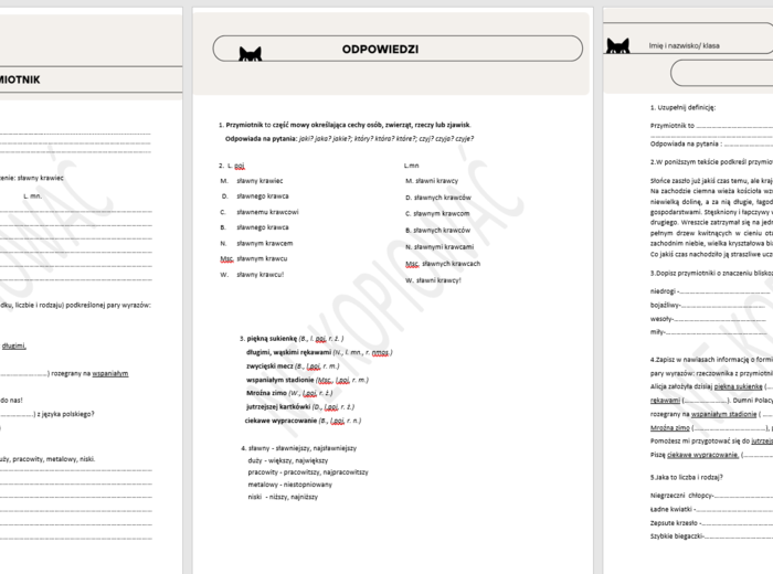 Odmienne części mowy - rzeczownik, czasownik, przymiotnik, liczebnik - zestaw kartkówek dla klasy 4/5