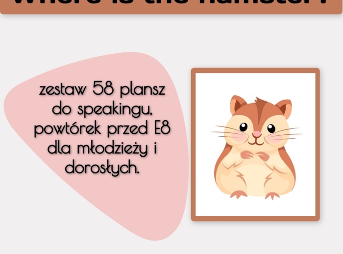 Where is the hamster B1+ E8 - zestaw