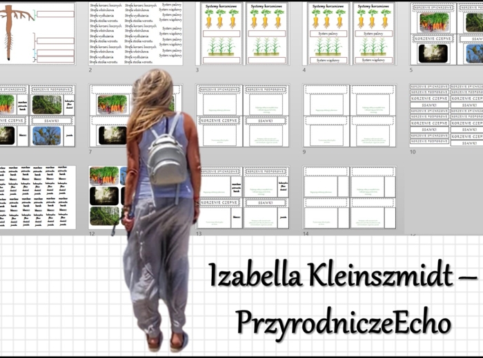 Materiał do zalaminowania/praca w grupach/stacje zadaniowe/układanka/puzzle „Korzeń - organ podziemny rośliny” w pdf. Biologia 5, dział „Tkanki i organy roślinne”.