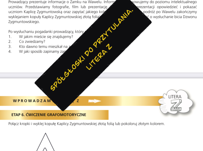 Spółgłoski do przytulania. Monografia litery Z