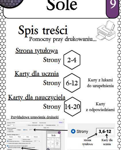 Karty pracy - Klasa 8. Chemia – Zestaw 6 kart pracy do działu 9 "Sole"