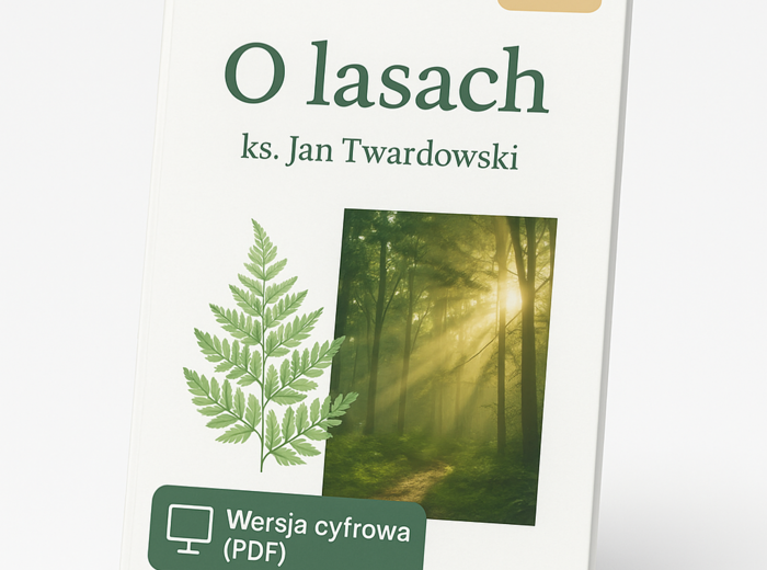 "O lasach" ks. Jan Twardowski. Prezentacja do lekcji