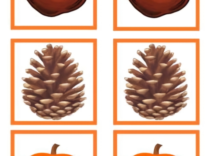 Matematyczna wiewiórka