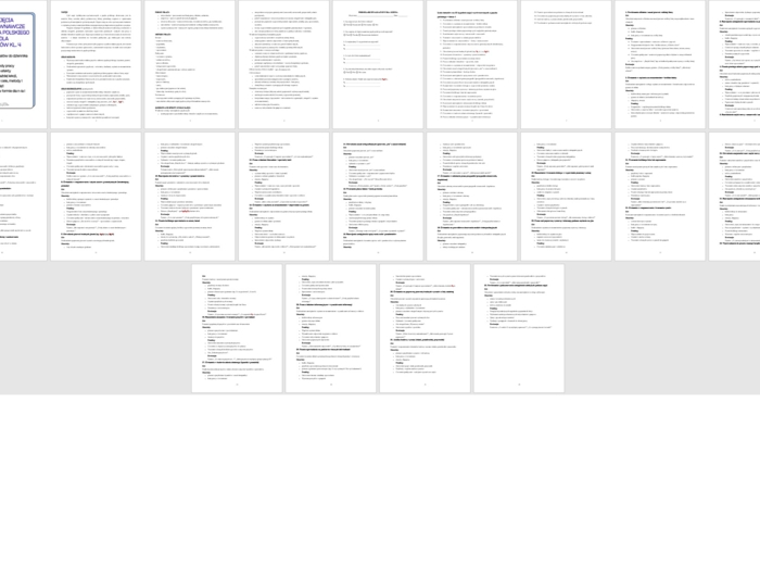 Program zajęć wyrównawczych z języka polskiego dla kl. 4