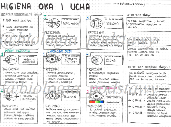 Klasa 7 - Higiena oka i ucha - sketchnotka