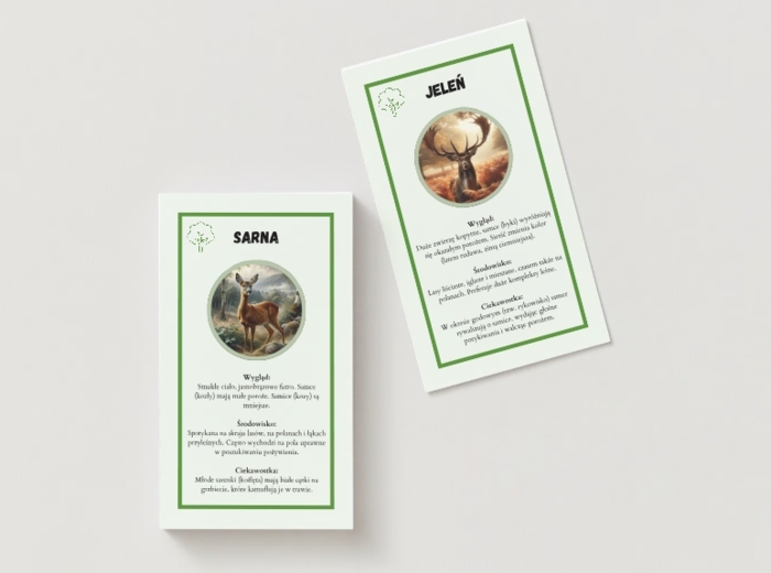 Karty przyrodnicze dla najmłodszych. Gatunki lądowe. Gatunki wodne. Gatunki leśne.