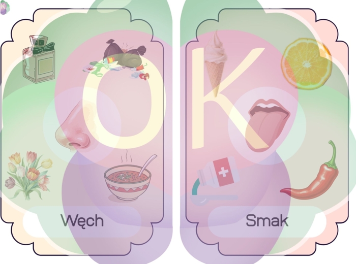 Akademia Pięciu Zmysłów – Wielki Pakiet Edukacyjny (23 strony)