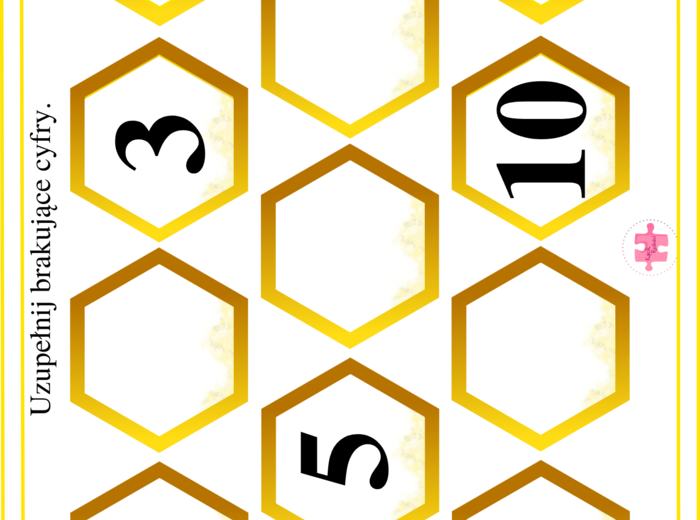 W krainie pszczół - książeczka