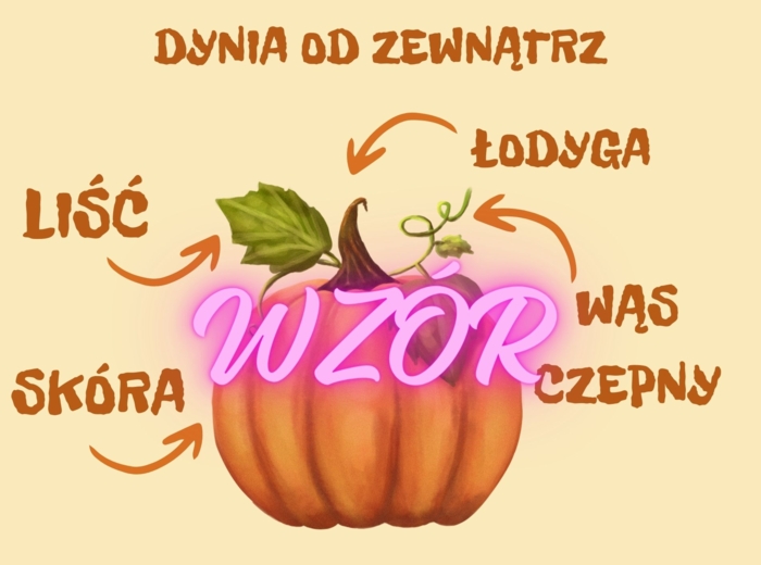 Dzień Dyni, materiały, gazetka ścienna, dekoracje