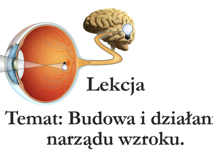 Budowa oka - oko - klasa 7 - prezentacja