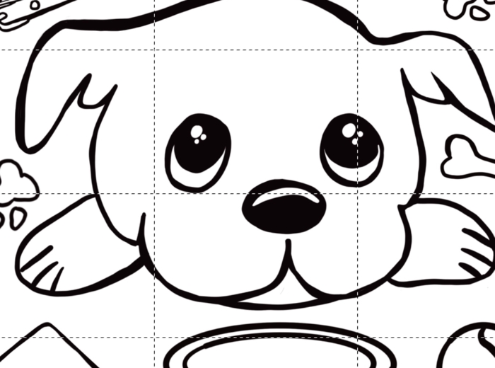 Dzień Kundelka - plakat, opaski