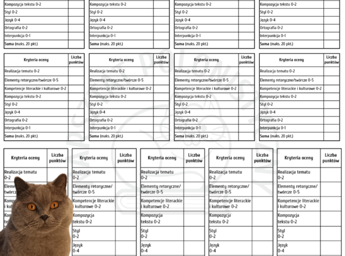 Kryteria oceny wypracowania na E8