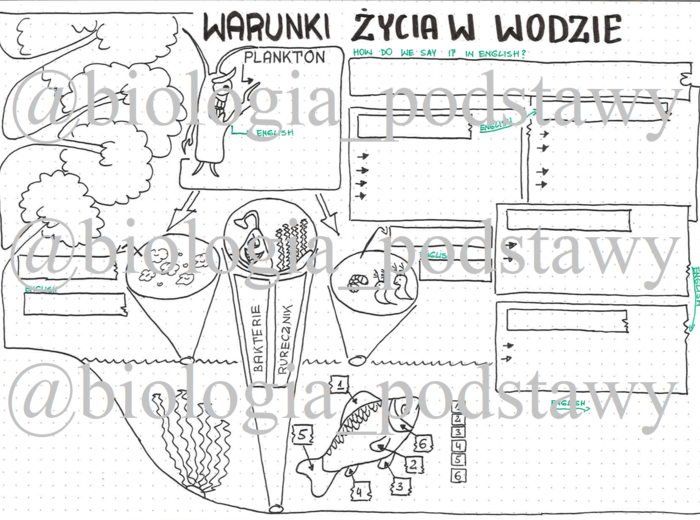 Klasa 4 - Warunki życia w wodzie