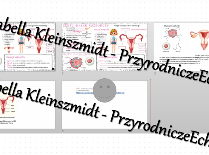 Minizestaw na temat „Żeński układ rozrodczy” – sketchnotka + karta pracy w power point + gratisowy link do prezentacji multimedialnej niekomercyjnej wykonanej w genial.ly do indywidualnego pobrania i użycia do celów niekomercyjnych. Biologia 7, „Rozmnaża