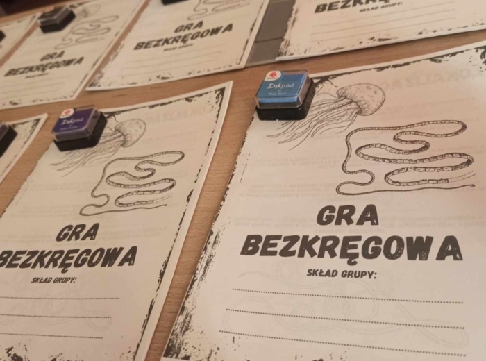 GRA BEZKRĘGOWA