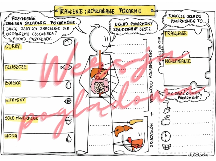 Trawienie i wchłanianie pokarmu kl. 4