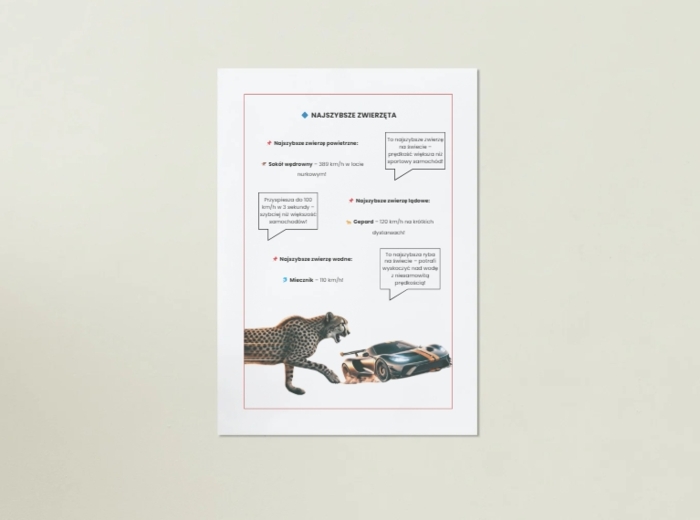 Plakaty przedstawiające ekosystemy, zwierzęta, rośliny, ochronę środowiska.