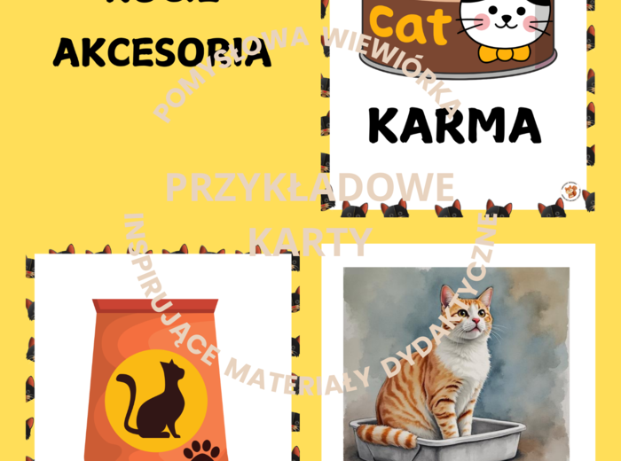 🐱 DZIEŃ KOTA