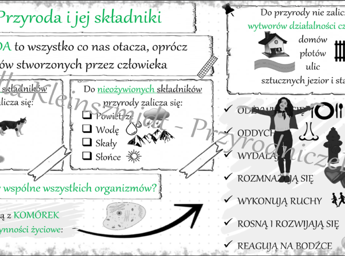 Sketchnotka „Przyroda i jej składniki „ w power point do edycji, PRZYRODA do klasy 4 – dział I „Poznajemy warsztat przyrodnika”