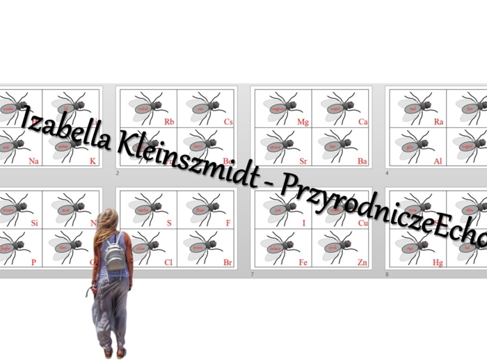 Muchy/protony/elektrony/powłoki elektronowe/elektrony walencyjne. Budowa pierwiastka chemicznego a jego położenie w układzie okresowym pierwiastków. Chemia 7