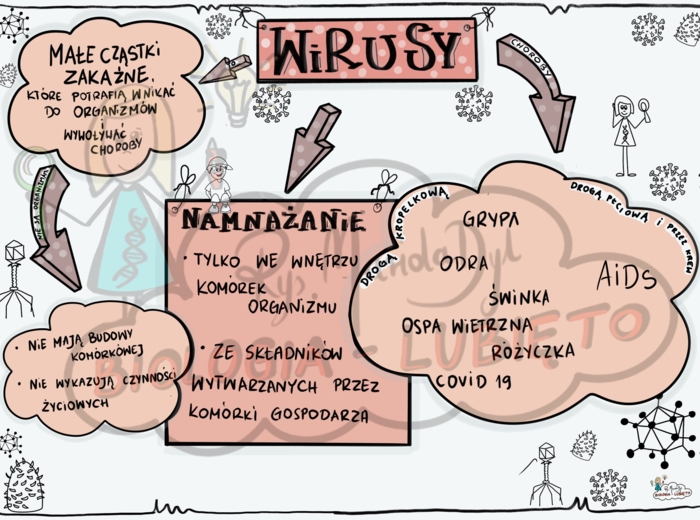 Klasa 5 Wirusy. Wklejka do zeszytu.