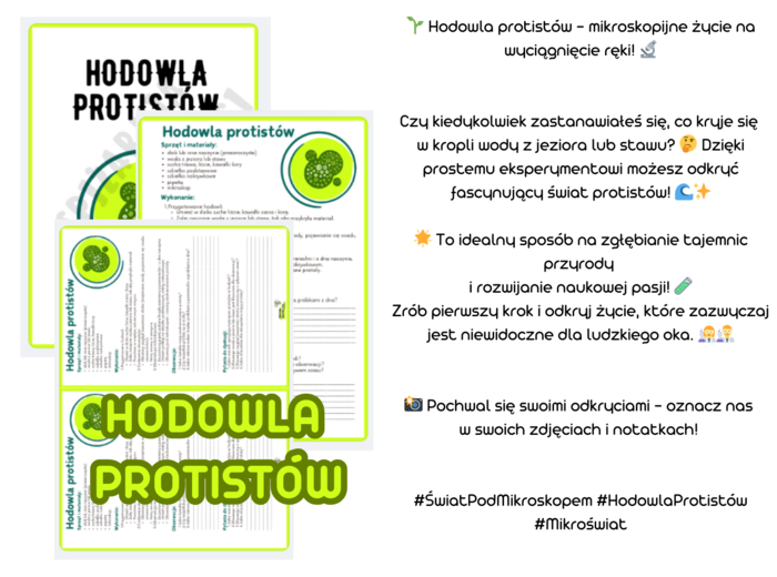 Karta pracy - biologia/zajęcia rozwijające - HODOWLA PROTISTÓ