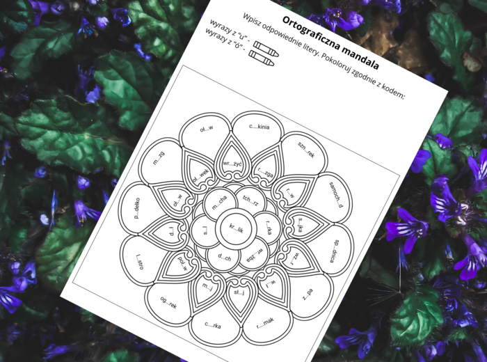 ORTOGRAFICZNA mandala – wyrazy z Ó-U – ortografia
