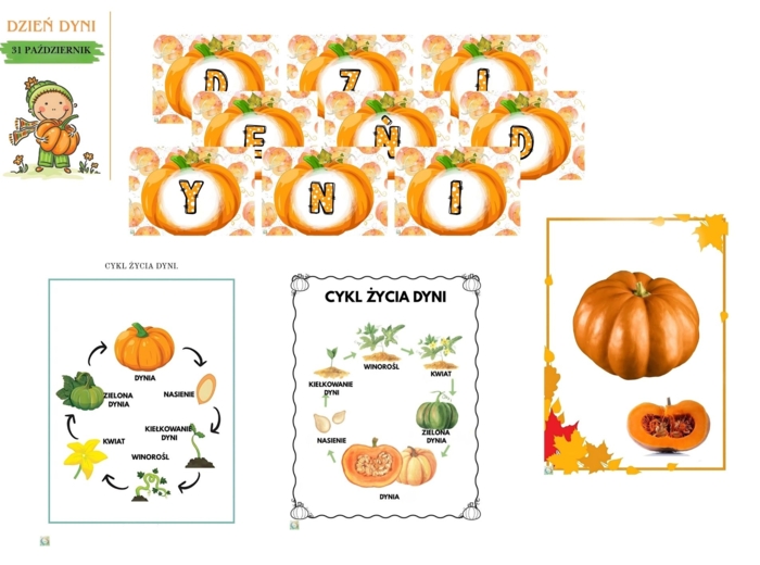 DZIEŃ DYNI