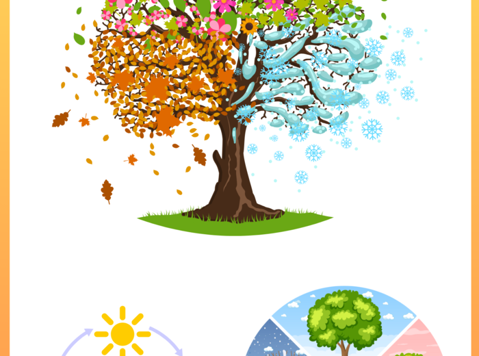 Cztery pory roku - plansze edukacyjne