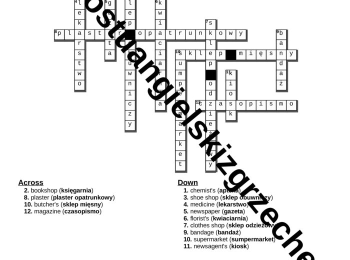 Junior Explorer 5 – Unit 4 – krzyżówki