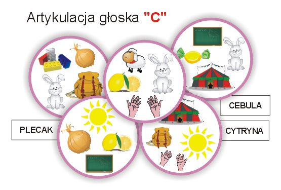 Artykulacja - C