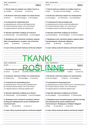 TKANKI ROŚLINNE - KARTKÓWKA