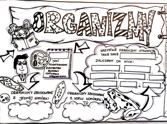 Klasa 4. Przyroda. Karta pracy. Organizmy