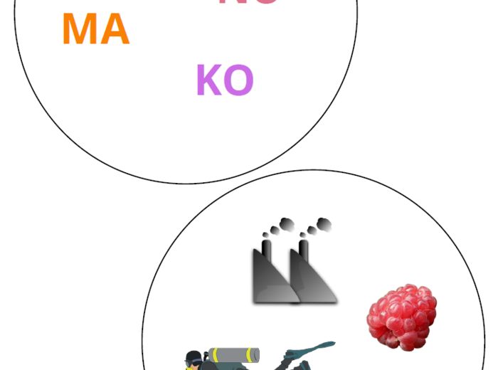 Wyszukiwanka sylabowa – gra utrwalająca czytanie sylab