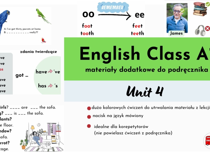 English Class A1, unit 4, materiały dodatkowe, have got, appearance
