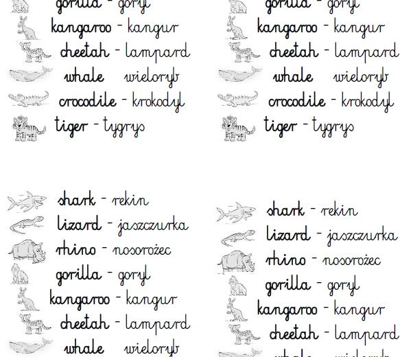 Słowniczek Bugs Team 3