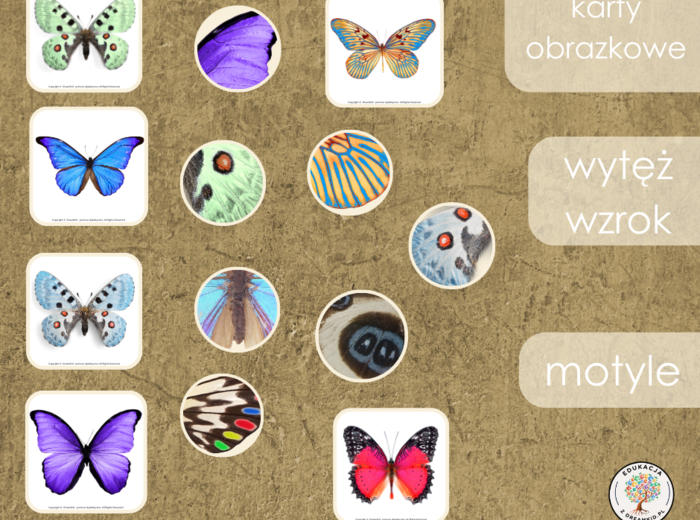 Gra - wytęż wzrok - motyle