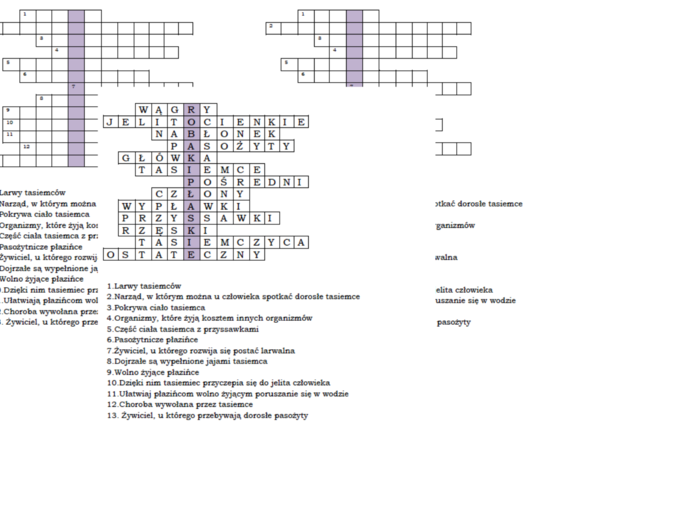 Logogryf dla klasy 6 na podsumowanie lekcji o płazińcach