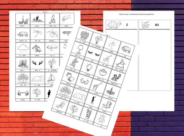 WYRAZY Z "RZ" i "Ż" – ortografia – wklejka – karta pracy