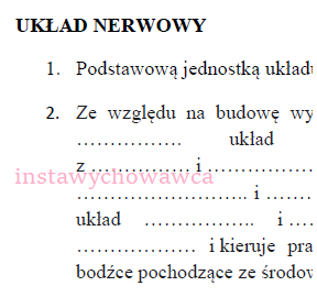 Układ nerwowy