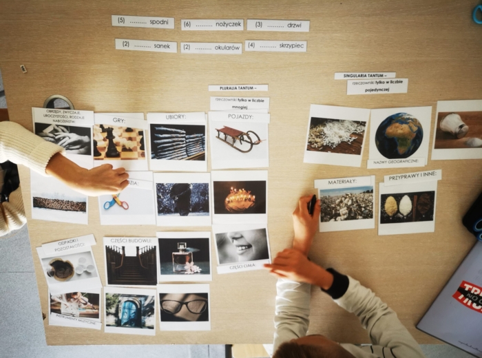 Pluralia i singularia - karty montessori